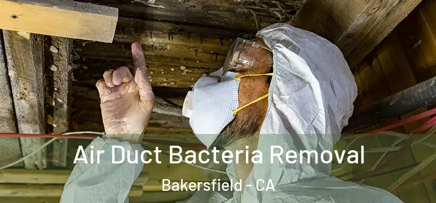  Air Duct Bacteria Removal Bakersfield - CA