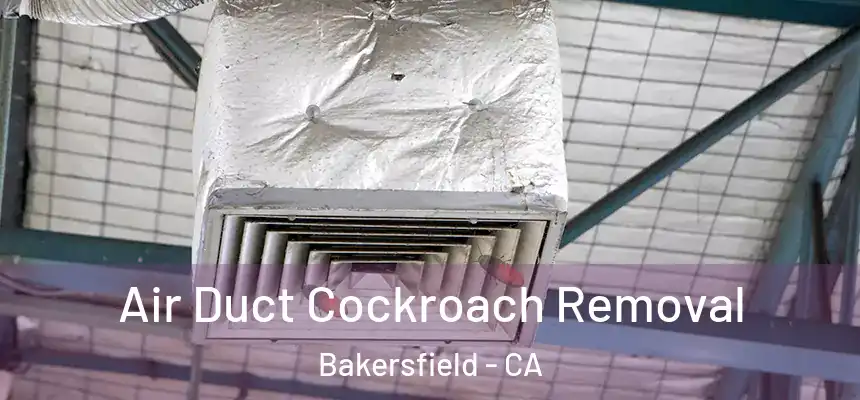  Air Duct Cockroach Removal Bakersfield - CA