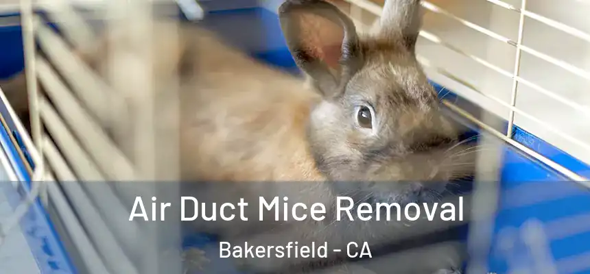  Air Duct Mice Removal Bakersfield - CA