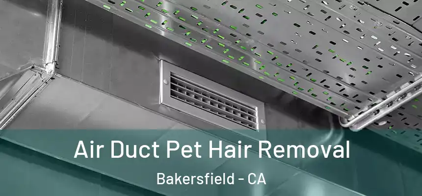  Air Duct Pet Hair Removal Bakersfield - CA