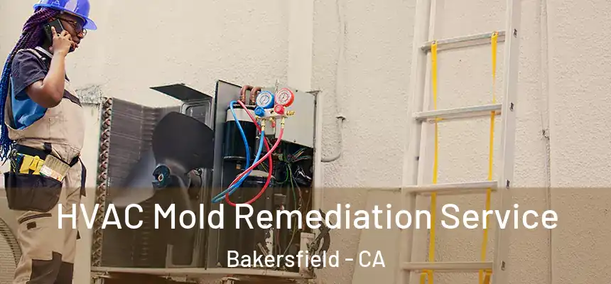  HVAC Mold Remediation Service Bakersfield - CA