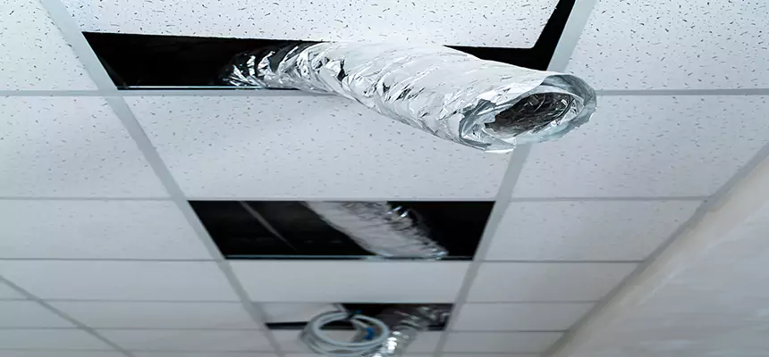 Our Air Duct Pet Hair Removal Services in Bakersfield, CA