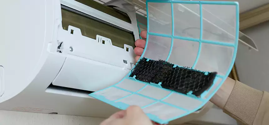 Gentle Ductwork Odor-Control Pet Dander Duct Cleaning in Bakersfield, CA