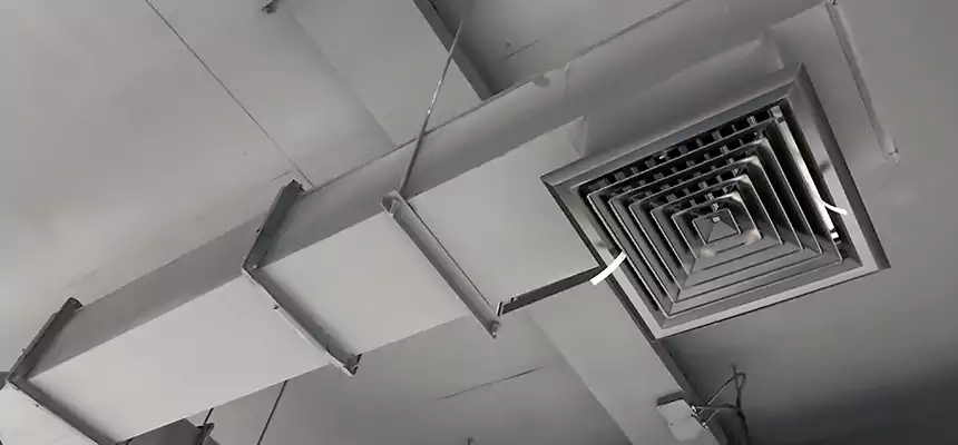 Our Rodent Droppings In Vents Services in Bakersfield, CA