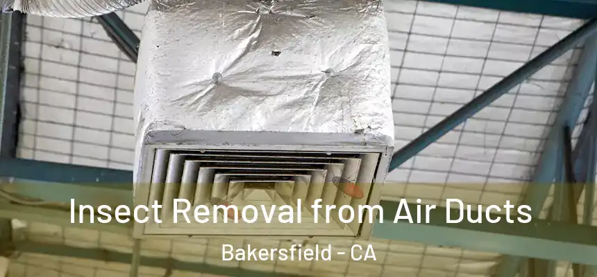  Insect Removal from Air Ducts Bakersfield - CA