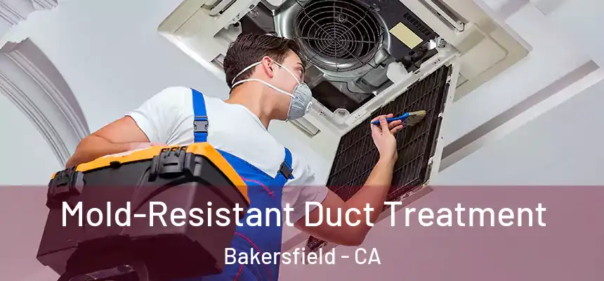  Mold-Resistant Duct Treatment Bakersfield - CA