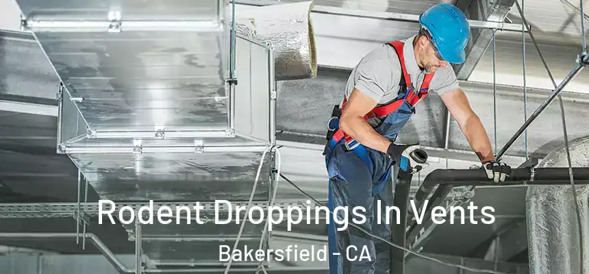  Rodent Droppings In Vents Bakersfield - CA
