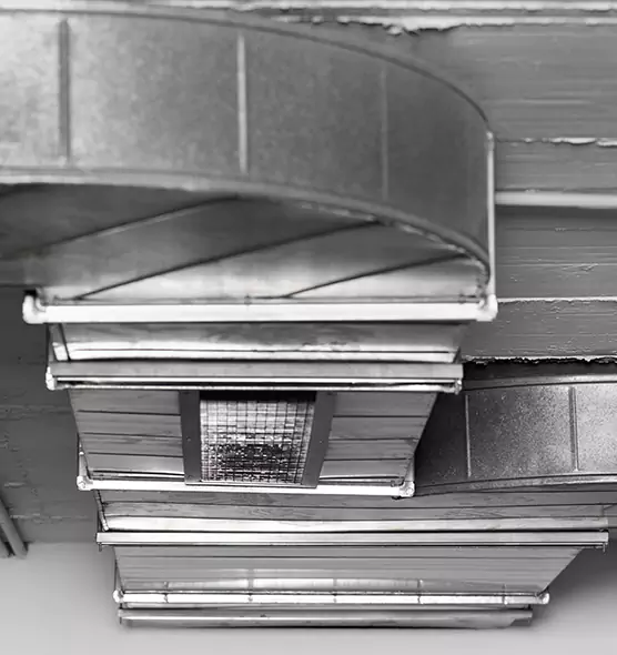 Professional Air Duct Pest Removal in Bakersfield, CA