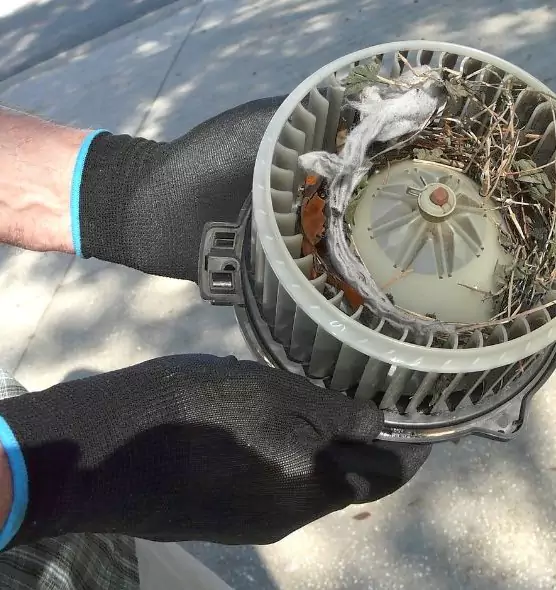 About Air Duct Rat Removal in Bakersfield, CA