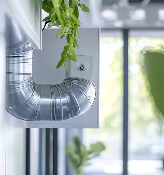 Professional Eco-Safe Dryer Vent Cleaning in Bakersfield, CA