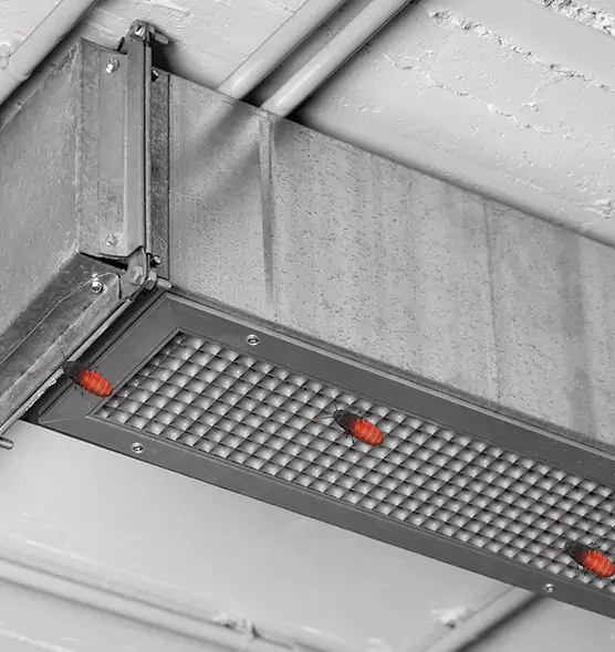 Affordable Insect Removal from Air Ducts in Bakersfield, CA